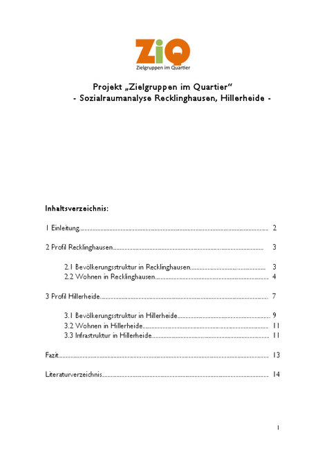 Beispiel: Ergebnis der Sozialraumanalyse Recklinghausen-Hillerheide